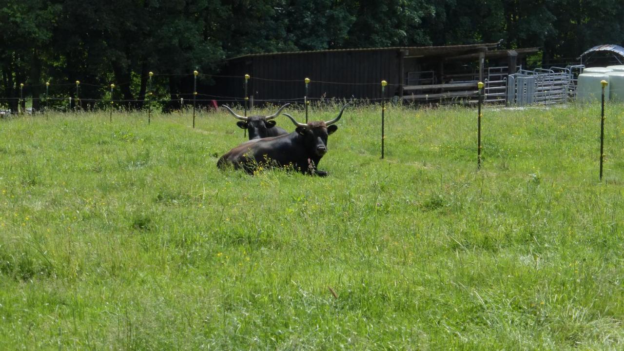 Ferienhaus Broche Hilchenbach Zewnętrze zdjęcie