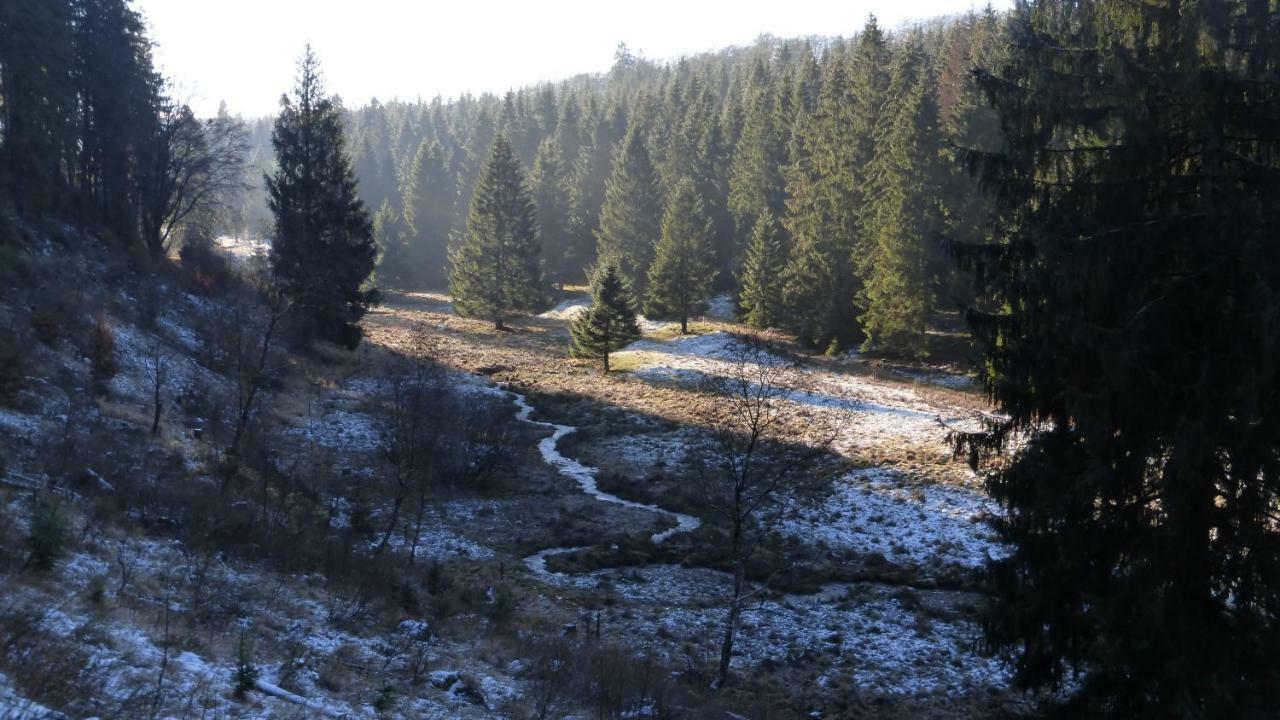 Ferienhaus Broche Hilchenbach Zewnętrze zdjęcie